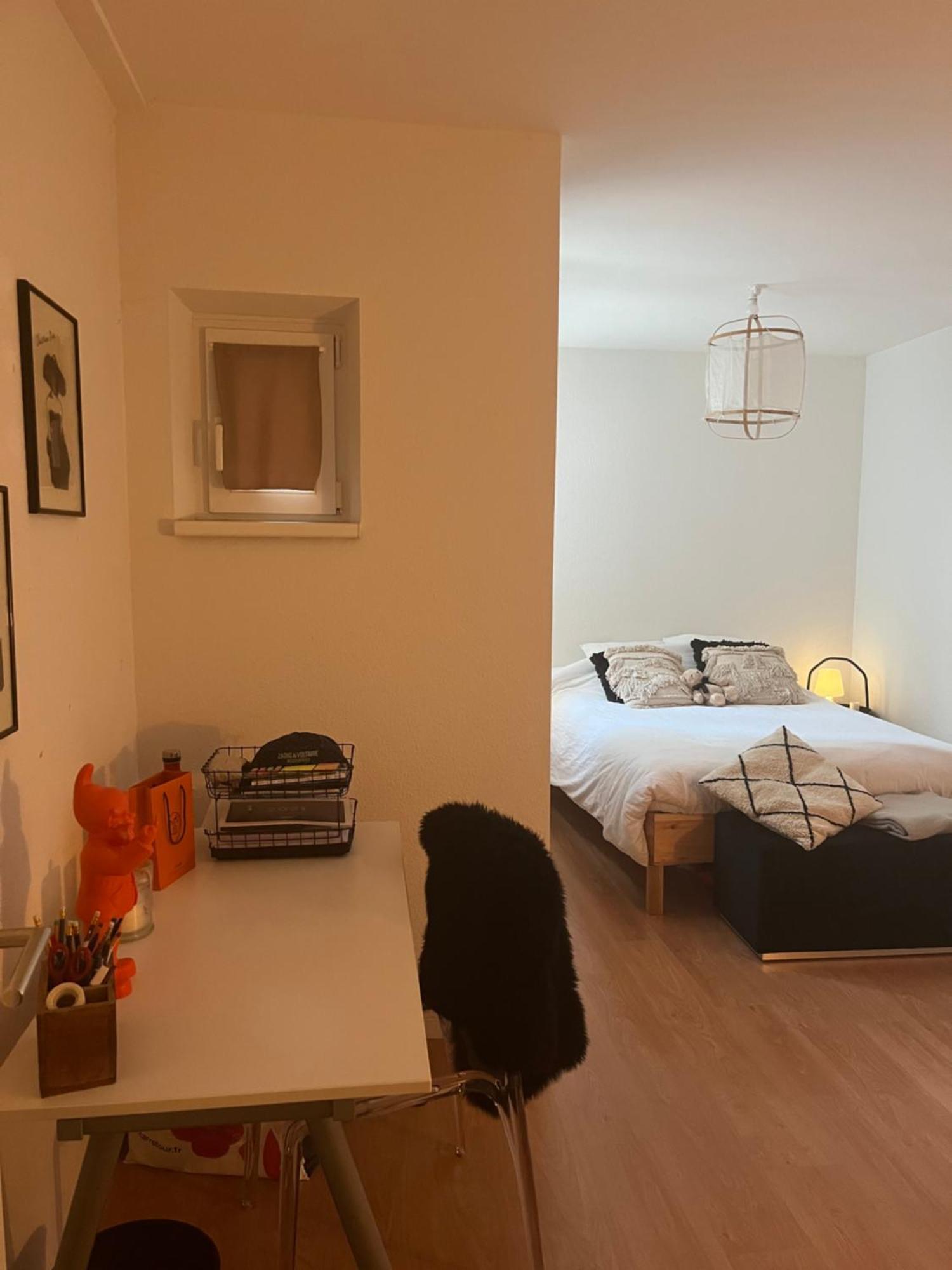 Joli Appartement Au Coeur De Strasbourg Estrasburgo Exterior foto